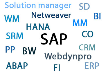 Nuage mots clés_SAP Compétences SAP