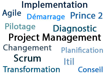 Nuage mots clés_Project_Management Compétences en Management de projet
