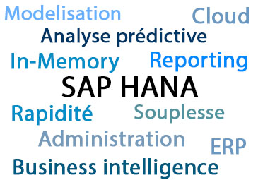 Nuage mots clés_SAP Hana